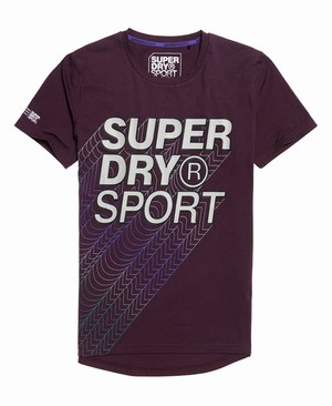 Superdry Core Gradient Graphic Férfi Pólók MélyBordó | ELMWJ4719